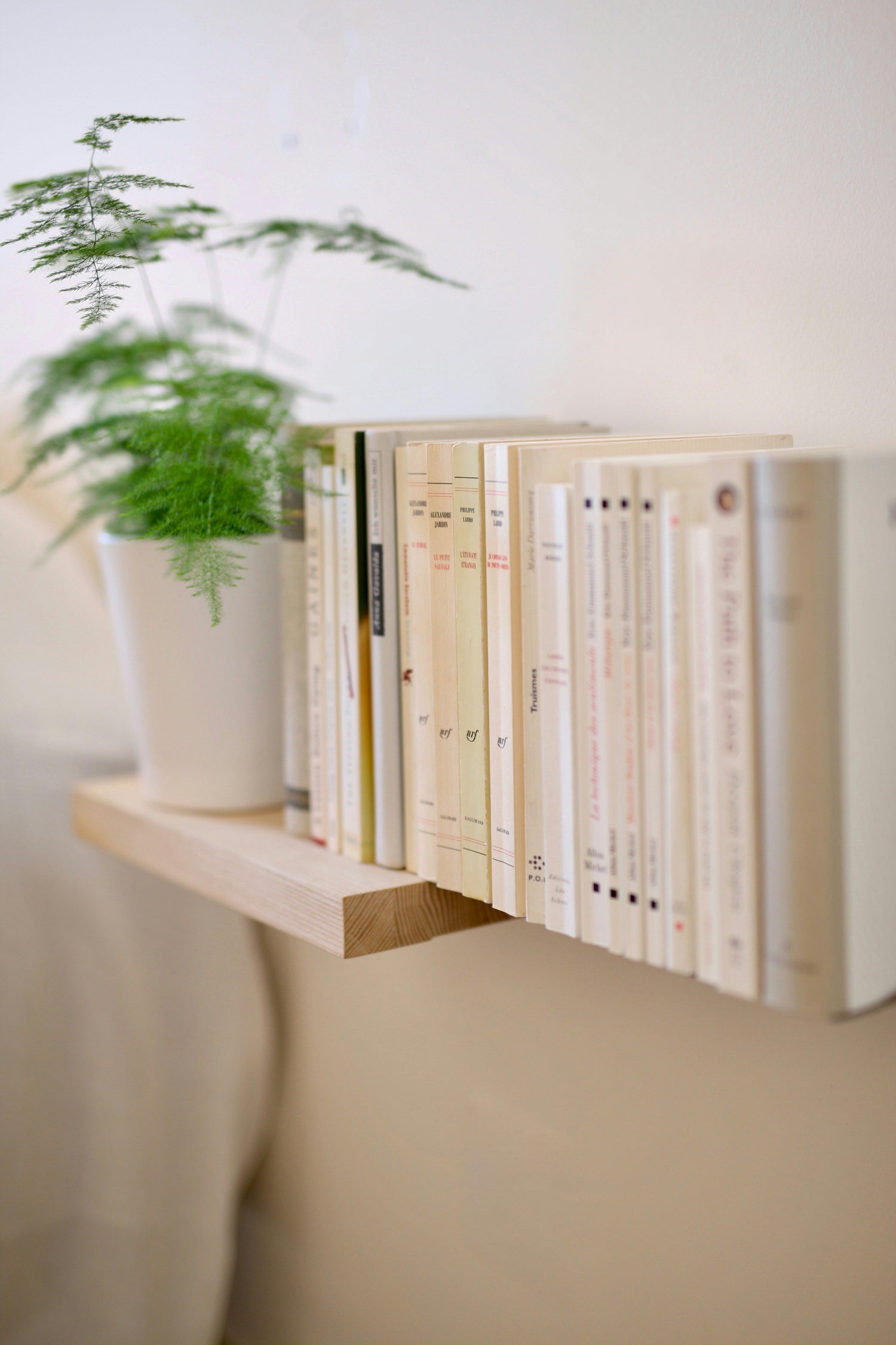 DECORATIVE BOOK STORAGES